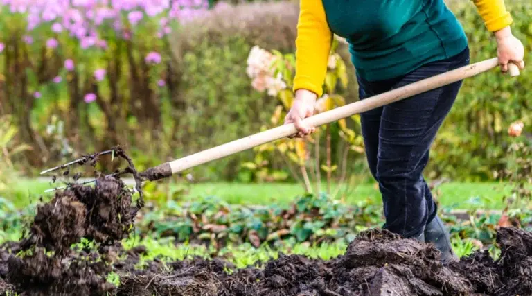 Afvoer materialen en tuinresten