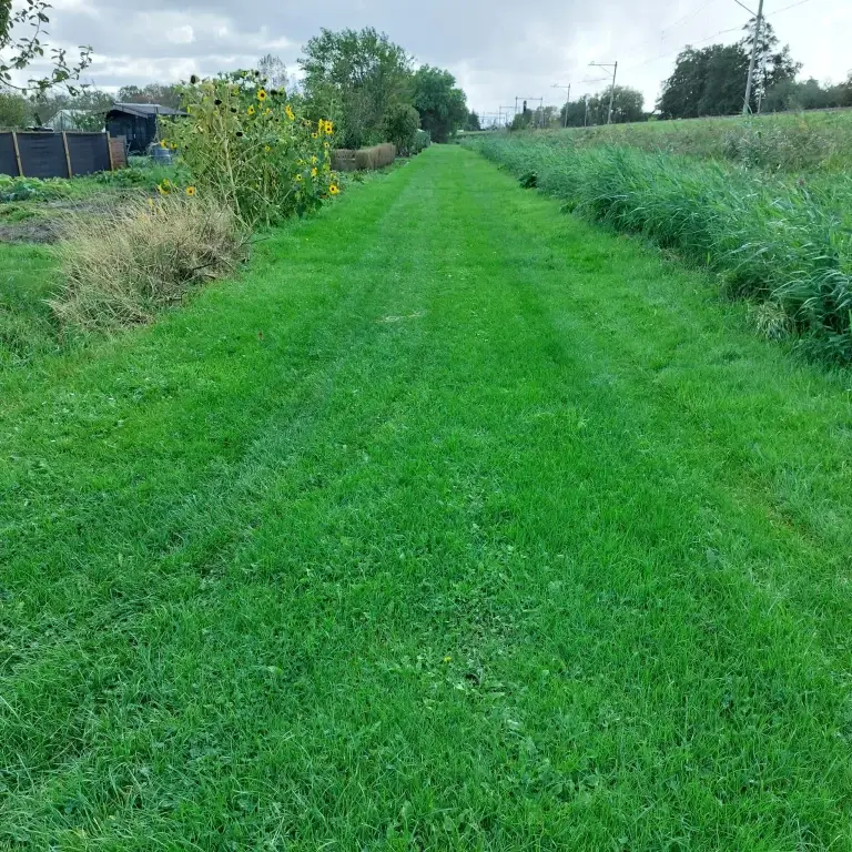 Met motorvoertuigen over de graspaden