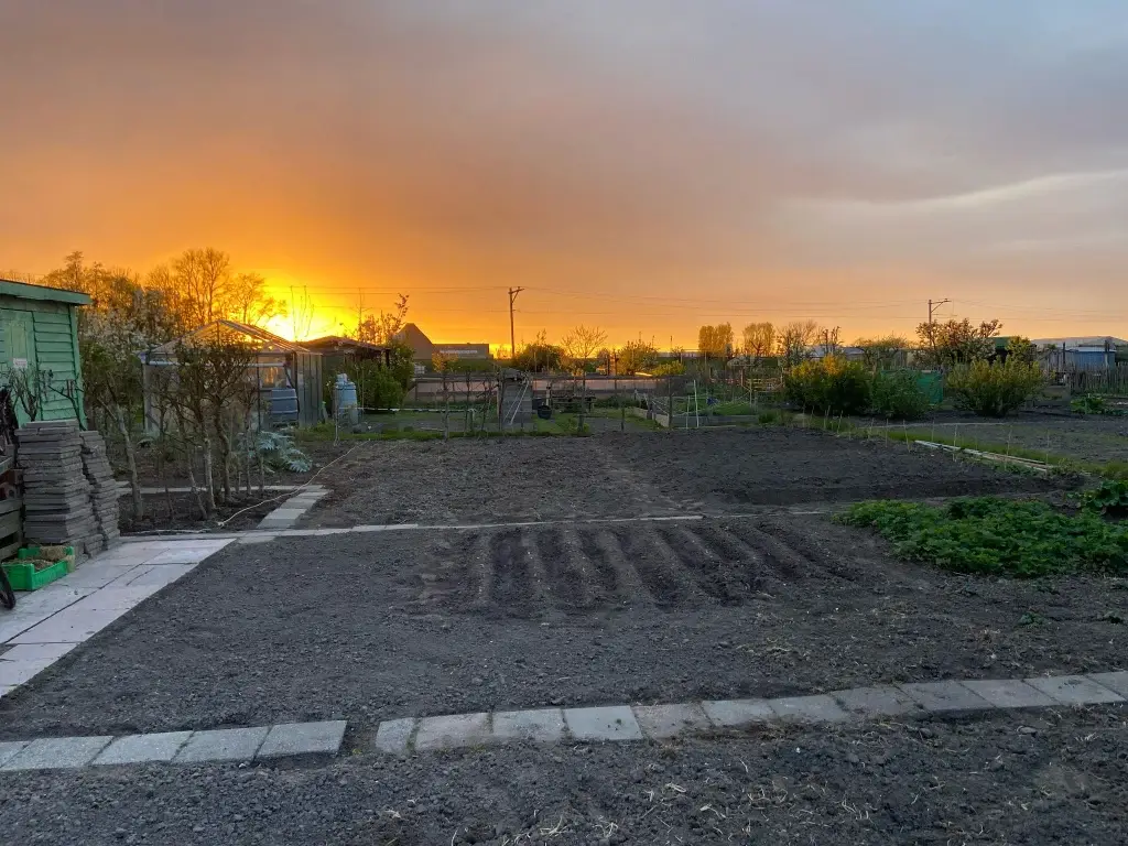 Zonsondergang boven de tuinen van het complex aan de Molenvaart