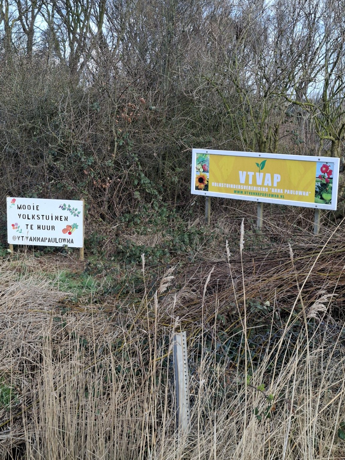 2c03ea7e-f3d8-40d7-a96e-d80b09d3dfa4