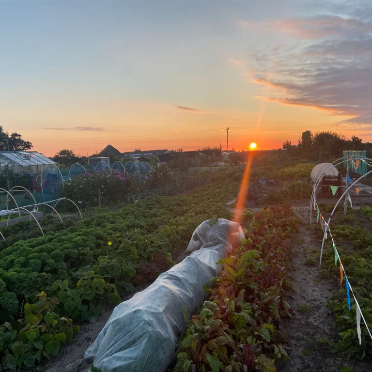 De tuinen in het warme licht van de ondergaande zon